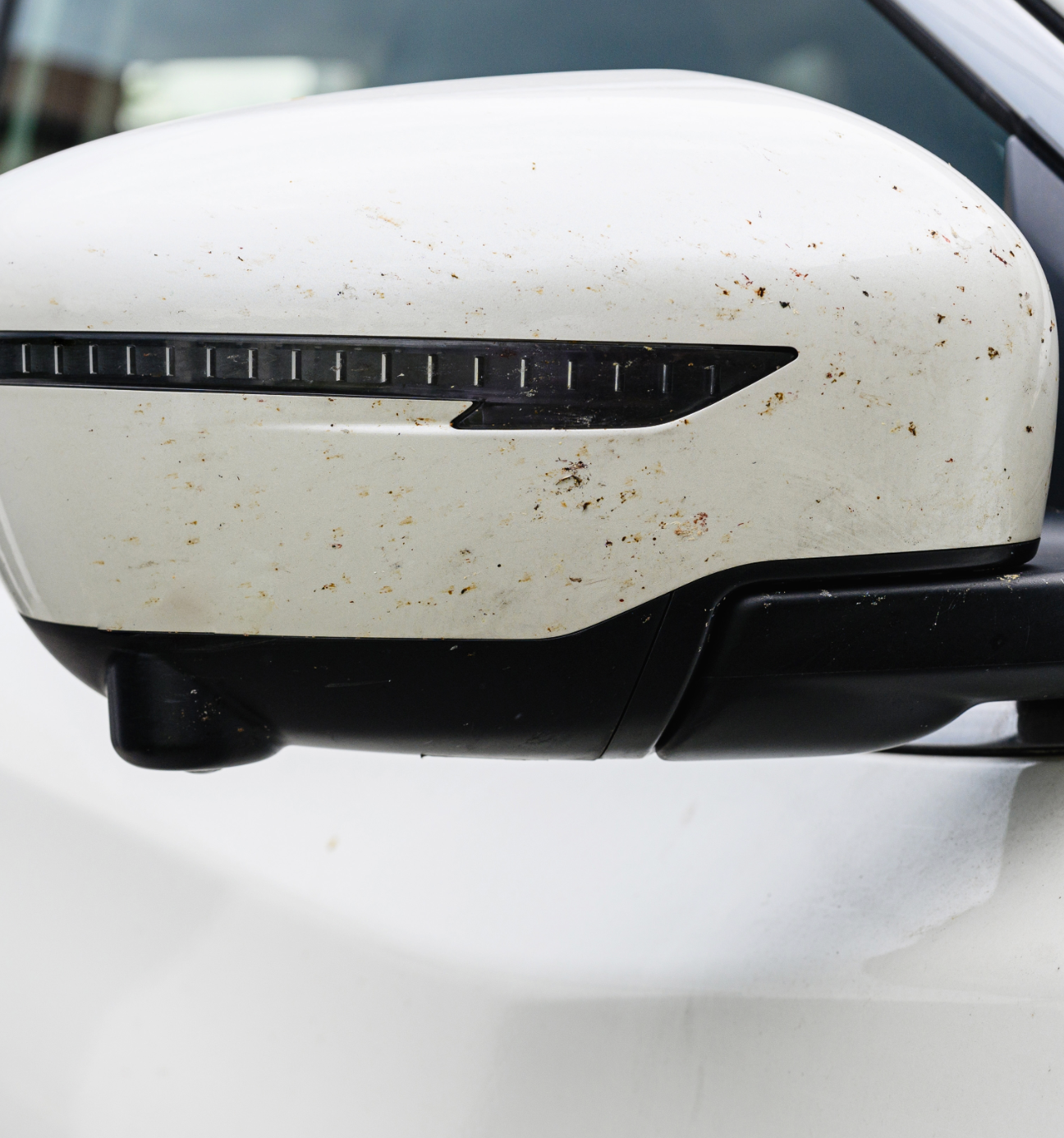 Mihi automašīnu tīrīšanas līdzeklis Ok Car kukaiņu notīrīšanai - Image 4